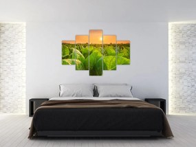 Tablou - Câmp (150x105 cm)