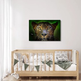 Tablou - Portretul leoparduslui, Sri Lanka (90x60 cm)