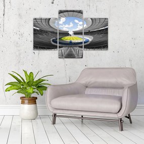 Tablou - stadionul de fodbal (90x60 cm)