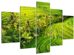 Tablou - Terase de orez (150x105 cm)