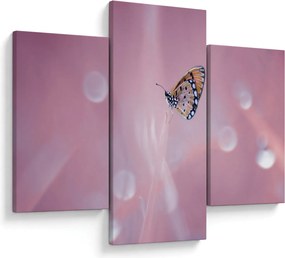 Tablou - Fluturele (90x60 cm)