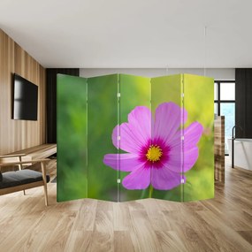 Paravan - Floare de câmp (210x170 cm)
