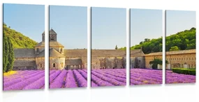 Tablou 5-piese Provence cu câmpuri de lavandă