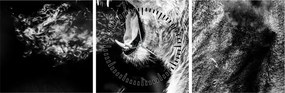 Tablou - Portretul unei leoaice (cu ceas) (90x30 cm)