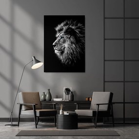 Calm Lion Portrait