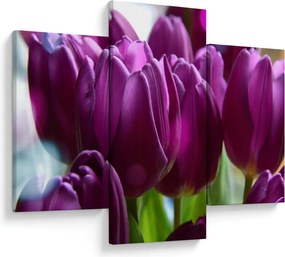 Tablou cu lalele (90x60 cm)
