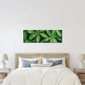 Tablou - Frunze cu picături de rouă (cu ceas) (90x30 cm)