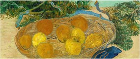 Tablou - Vincent van Gogh, Still Life of  Oranges and Lemons with  Blue Gloves, reproducere (120x50 cm)