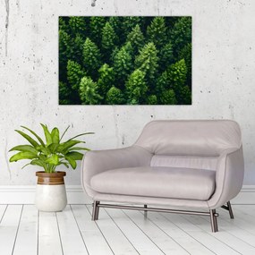 Tablou - Pădure (90x60 cm)