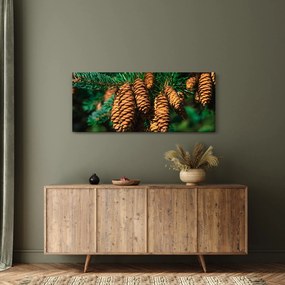 Tablou cu con de brad (120x50 cm)