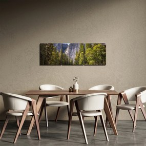 Tablou cu stânci (cu ceas) (90x30 cm)