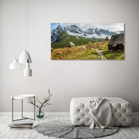 Tablou acrilic Hale tatry