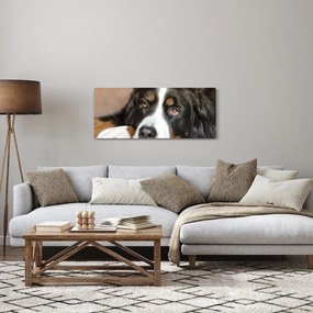 Tablou cu câine (120x50 cm)