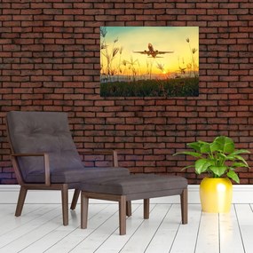 Tablou pe sticlă cu avion zburând (70x50 cm)