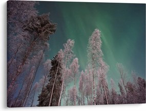 Tablou cu aurora borealis deasupra pomilor înghețați (70x50 cm)