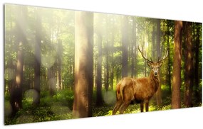 Tablou cu cerbul în pădure (120x50 cm), în 40 de alte dimensiuni noi