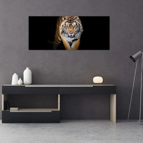 Tablou - Tiger (120x50 cm)