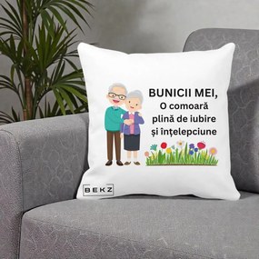 Cadou pentru Bunici - Perna Personalizata Bunicii Mei Comoara Cuplu Senior cu Flori Colorat, 40x40 cm, Alba Mata, Husa Detasabila, Perna Inclusa, BEKZ®