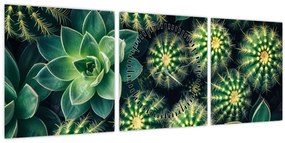 Tablou - Cactuși (cu ceas) (90x30 cm)