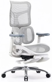 RESIGILAT- Scaun ergonomic SIHOO S100, cotiere 4D ultra moi, suport lombar adaptiv, spătar reglabil pe inaltime, sezut cu translatie, mecanism multifunctional inclinare/blocare, suport picioare, pivotant, Mesh, Gri