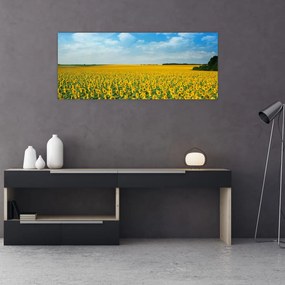 Tablou - câmp cu floarea soarelui (120x50 cm), în 40 de alte dimensiuni noi