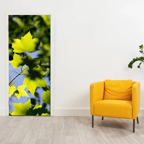 Fototapet pentru ușă - Frunze de arțar (95x205cm)