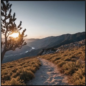 Tablou 50x50 cm Mountain Path – knor