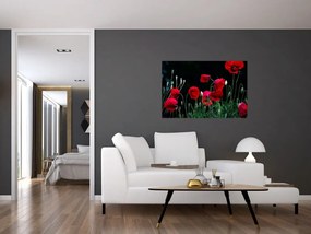 Tablou - Dansul macilor (90x60 cm)