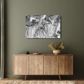 Tablou - Tei,alb-negru (90x60 cm)