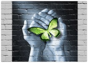 Tablou pe sticlă - Fluture verde în perete (70x50 cm)