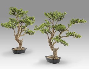 Set de 2 Plante artificiale, SOKAN BONSAI 81cm