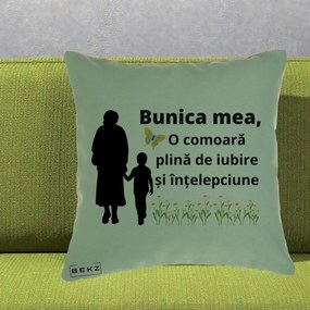 Cadou pentru Bunica - Perna Personalizata Bunica Mea Comoara cu Fluture si Baietel, 40x40 cm, Verde, Husa Detasabila, Perna Inclusa, BEKZ®