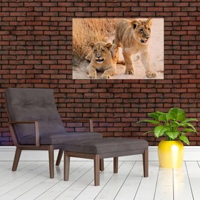 Tablou cu pui de leu (90x60 cm)