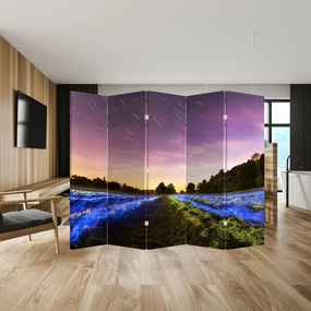 Paravan - Câmp colorat (210x170 cm)