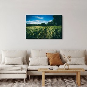Tablou cu linca și pădure (90x60 cm)