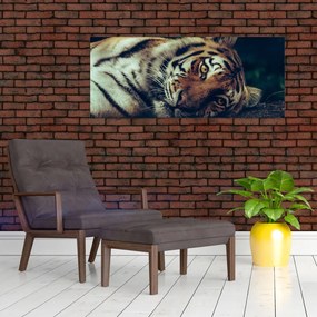 Tablou - Tigrul Siberian (120x50 cm)