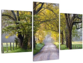 Tablou - Smoky Mountains, Gatlinburg, SUA (90x60 cm)