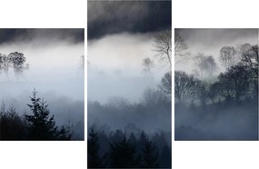 Tablou cu ceță deasupra pădurii (90x60 cm)