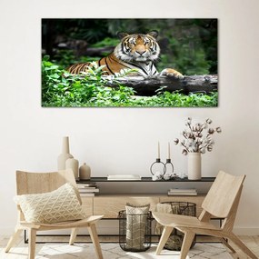 Tablou din sticla Forest Animal Cat Tiger