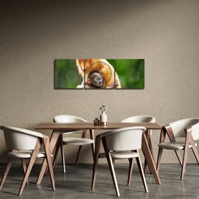 Tablou cu maimuțe (cu ceas) (90x30 cm)