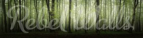 Fototapet, Dawn in the Forest, Rebel Walls