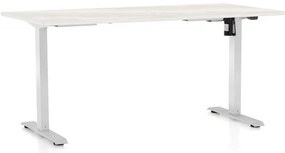 Masă înălțime reglabilă OfficeTech A, 160 x 80 cm, picioare albe, frasin alb