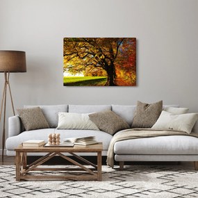 Tablou cu toamna (90x60 cm)