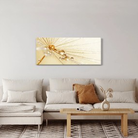 Tablou - Fotografie macro de păpădie (120x50 cm)