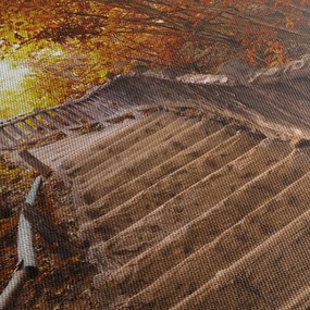 Tablou - Scări în natură în toamnă (90x60 cm)