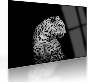 Tablou pe sticlă - Leopardul (70x50 cm)
