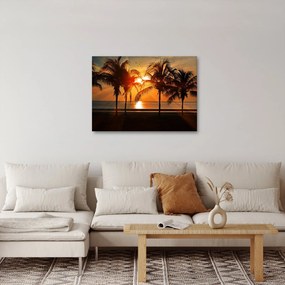 Tablou cu palmier în apus de soare (70x50 cm)