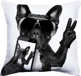 Perna moderna Cool Dog 40x40