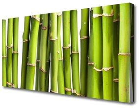 Tablou pe panza canvas Bamboo Canes Floral Verde