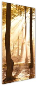 Imagine de sticlă Pădure în toamna